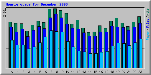 Hourly usage for December 2006