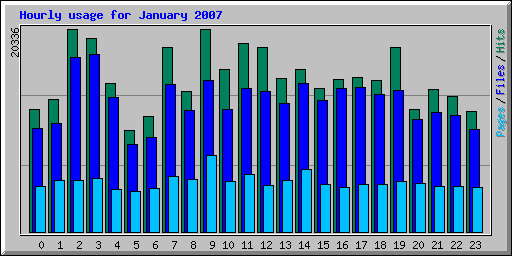 Hourly usage for January 2007